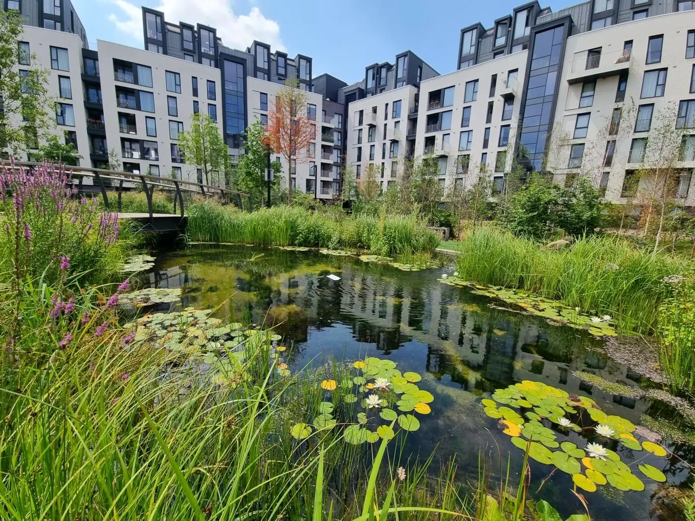 St Albans Grounds Maintenance