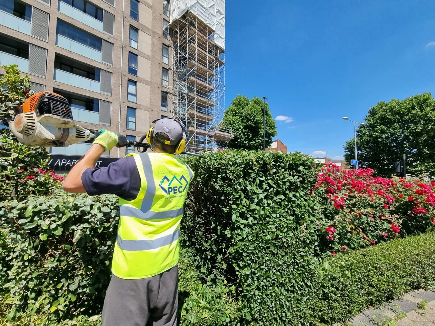 Hedge Cutting